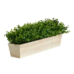 Eucalyptus Arrangement In Wide Wooden Planter-Kirkland's Home Discount