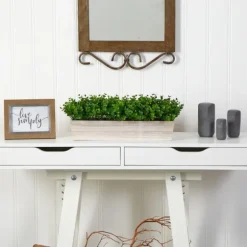 Eucalyptus Arrangement In Wide Wooden Planter-Kirkland's Home Discount