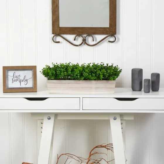 Eucalyptus Arrangement In Wide Wooden Planter-Kirkland's Home Discount