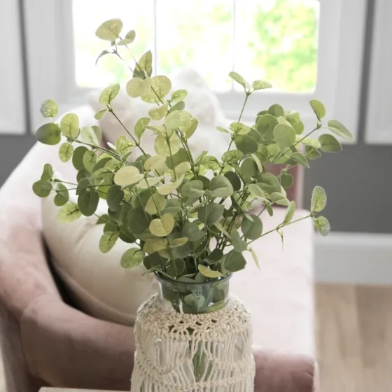 Eucalyptus Bundle, 33 In.-Kirkland's Home Sale