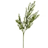 Eucalyptus Bushes, Set Of 4-Kirkland's Home Clearance