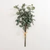 Eucalyptus Leaf Bundles, Set Of 3-Kirkland's Home Cheap