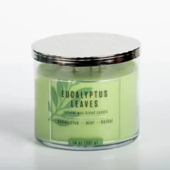 Eucalyptus Leaves Triple Wick Jar Candle-Kirkland's Home Outlet