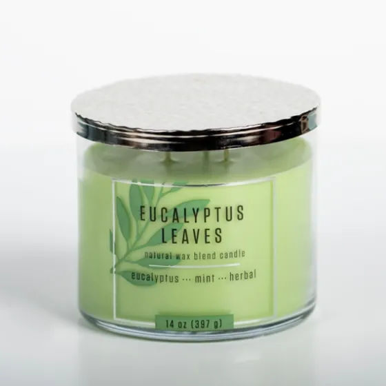 Eucalyptus Leaves Triple Wick Jar Candle-Kirkland's Home Outlet