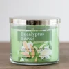 Eucalyptus Leaves 3-Wick Jar Candle-Kirkland's Home Cheap