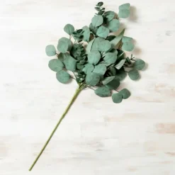 Eucalyptus Mix Stem-Kirkland's Home Hot