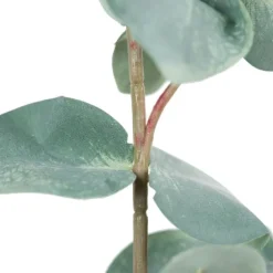 Eucalyptus Sprays, Set Of 3-Kirkland's Home Fashion