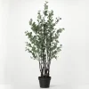 Eucalyptus Tree In Black Planter-Kirkland's Home Cheap