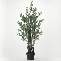 Eucalyptus Tree In Black Planter-Kirkland's Home Cheap