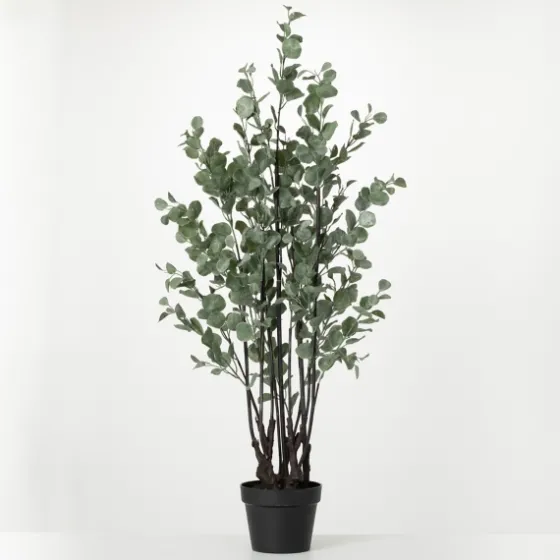 Eucalyptus Tree In Black Planter-Kirkland's Home Cheap