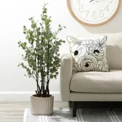 Eucalyptus Tree In Black Planter-Kirkland's Home Cheap