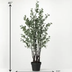Eucalyptus Tree In Black Planter-Kirkland's Home Cheap