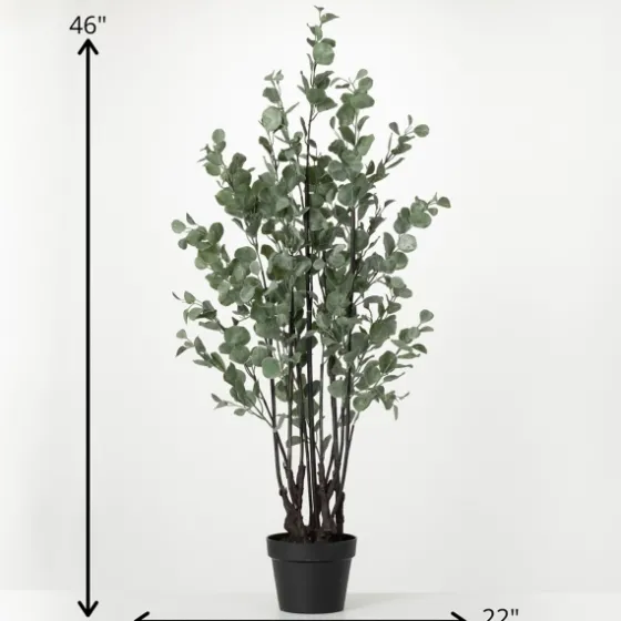 Eucalyptus Tree In Black Planter-Kirkland's Home Cheap
