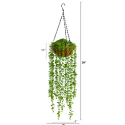 Eucalyptus Vines Hanging Basket-Kirkland's Home Cheap