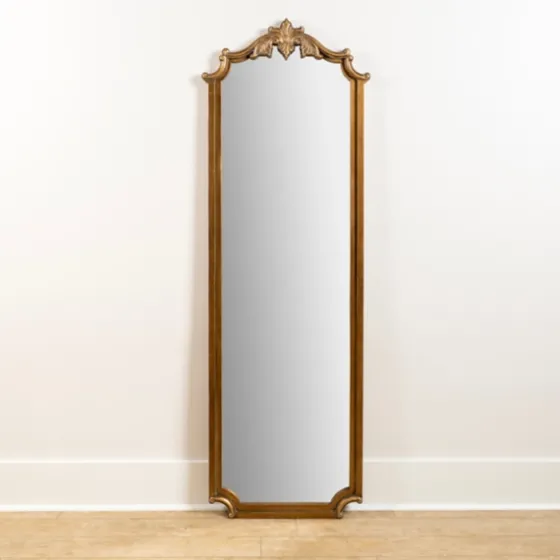 Evelyn Antique Gold Leaner Mirror-Kirkland's Home Clearance