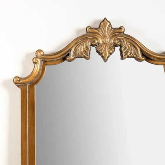 Evelyn Antique Gold Leaner Mirror-Kirkland's Home Clearance