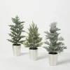 Evergreen Trees In Metallic Planters, Set Of 3-Kirkland's Home Fashion