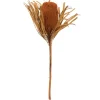Fall Dried And Dyed Jumbo Banksia Stems, Set Of 3-Kirkland's Home Store