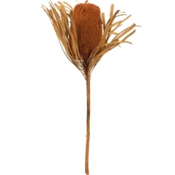 Fall Dried And Dyed Jumbo Banksia Stems, Set Of 3-Kirkland's Home Store