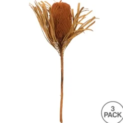 Fall Dried And Dyed Jumbo Banksia Stems, Set Of 3-Kirkland's Home Store