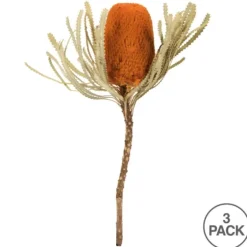 Fall Dried Jumbo Banksia Stems, Set Of 3-Kirkland's Home Best Sale
