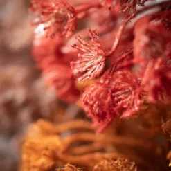 Fall Queen Anne'S Lace Orb Stems, Set Of 3-Kirkland's Home Fashion