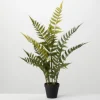 Feathered Fern In Black Nursery Planter-Kirkland's Home Flash Sale