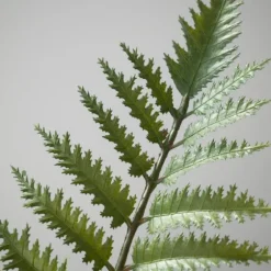 Feathered Fern In Black Nursery Planter-Kirkland's Home Flash Sale