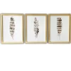 Feathers Framed Art Prints, Set Of 3-Kirkland's Home Sale