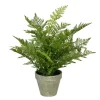 Fern Arrangement In Paper Pot-Kirkland's Home Cheap