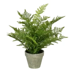 Fern Arrangement In Paper Pot-Kirkland's Home Cheap