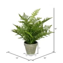 Fern Arrangement In Paper Pot-Kirkland's Home Cheap