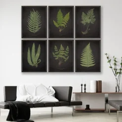 Fern Bookplate Vii Framed Art Print-Kirkland's Home Flash Sale