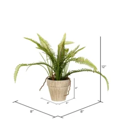 Fern Bush In Distressed Ivory Planter-Kirkland's Home Sale