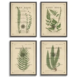 Fern Illustrations Framed Art Prints, Set Of 4-Kirkland's Home Discount