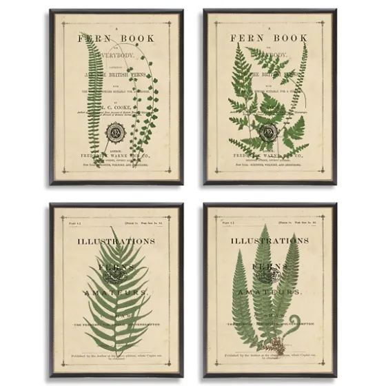 Fern Illustrations Framed Art Prints, Set Of 4-Kirkland's Home Discount