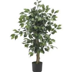 Ficus Silk Tree, 3 Ft.-Kirkland's Home Sale