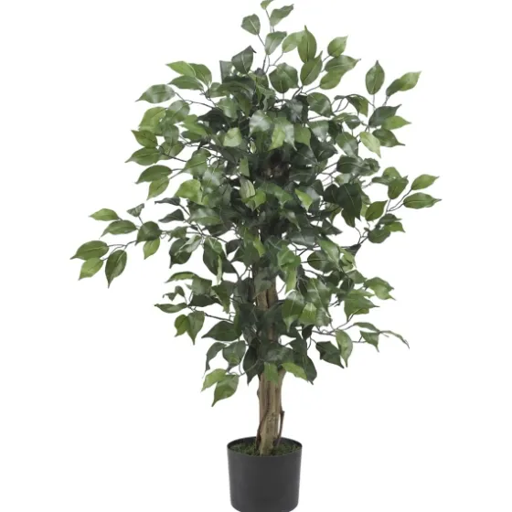 Ficus Silk Tree, 3 Ft.-Kirkland's Home Sale