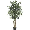 Ficus Silk Tree, 4 Ft.-Kirkland's Home Hot