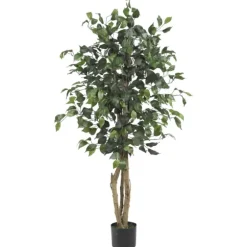 Ficus Silk Tree, 4 Ft.-Kirkland's Home Hot