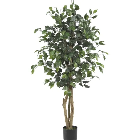 Ficus Silk Tree, 4 Ft.-Kirkland's Home Hot