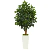 Ficus Tree In Mossy Tower Planter-Kirkland's Home Cheap