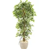 Ficus Tree In Sandstone Planter-Kirkland's Home Best Sale