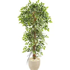 Ficus Tree In Sandstone Planter-Kirkland's Home Best Sale
