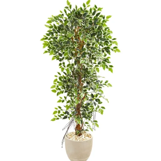Ficus Tree In Sandstone Planter-Kirkland's Home Best Sale