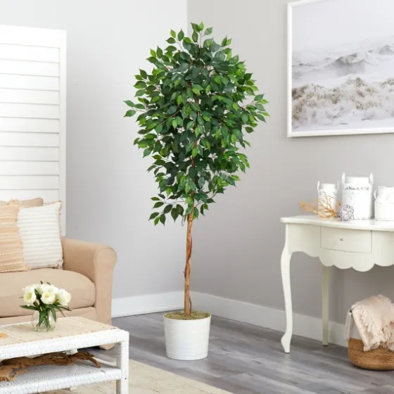 Ficus Tree With Moss In White Tin Planter-Kirkland's Home Best