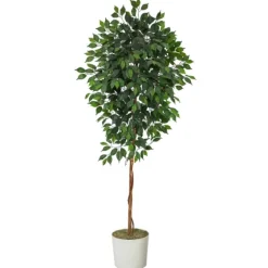 Ficus Tree With Moss In White Tin Planter-Kirkland's Home Best