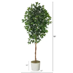 Ficus Tree With Moss In White Tin Planter-Kirkland's Home Best