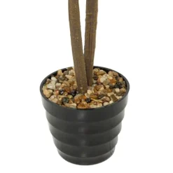 Fiddle Leaf Fig In Ribbed Rock Planter-Kirkland's Home Flash Sale