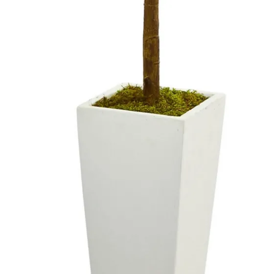 Fiddle Leaf Fig In White Tower Planter-Kirkland's Home New